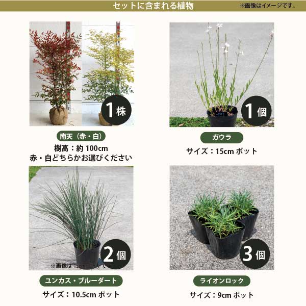 シンボルツリーと宿根草のセット ［和モダン・日向］植木・下草・庭石のセット 自...