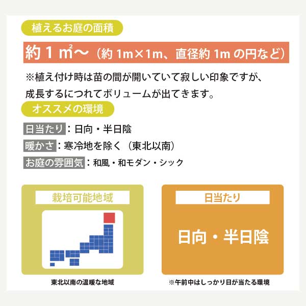 ����ܥ�ĥ꡼�Ƚɺ���Υ��å� ���¥���������Ͽ��ڡ��������ФΥ��å� ��ʬ�ǿ����褦���������ƥʥ� ���������������������ƥꥢ��GM�ϡ�t��