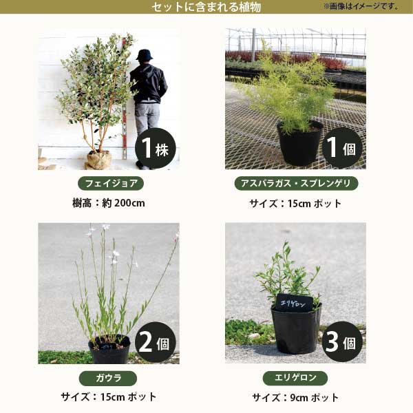 ����ܥ�ĥ꡼�Ƚɺ���Υ��å� �Υʥ�����Ͽ��ڡ��������ФΥ��å� ��ʬ�ǿ����褦���������ƥʥ� ���������������������ƥꥢ��GM�ϡ�t��