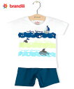 【半額セール・期間限定】【BRANDILI】男の子Tシャツ&ショートパンツセット【デイリー・おでかけ服】マリンルック|ホワイト×ダークブルー