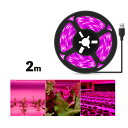 植物育成ライト LED植物用 LEDテープライト 植物成長促進用ランプ LEDテープライト防水 USB対応 2m SMD3528 5V LEDテープ 日照不足解...
