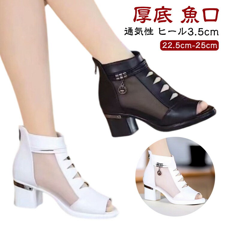  å奵 ̵ ֡  󥭡ҡ  ǥ ˤ ҡ3.5cm   ѥץ ˤʤ ⤭䤹...