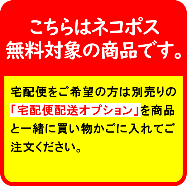 USBメモリ 256GB 【翌日配達送料無料】SanDisk サンディスク Cruzer Glide USB3.0対応 超高速 SDCZ600-256G-G35 海外パッケージ