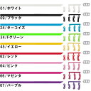 【全品ポイント2倍+5%OFFクーポン】ミズノ MIZUNO ゴーグル替えパーツ N3JG6085