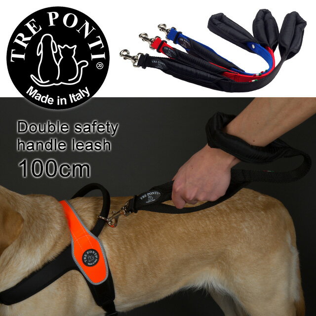 犬を繋ぐ命綱 リードを見直してみよう Recheri