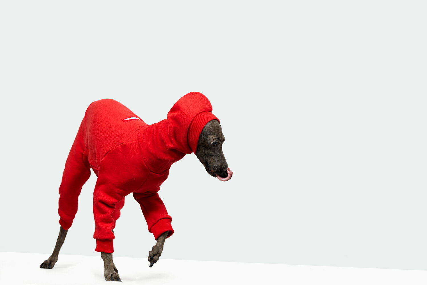 ��vemvem �����������ۥ����� �ե����������ԡ��ɥ����� ��å� ������ S/M/L/XL/XXL �����ꥢ�󥰥졼�ϥ���ɡ������ڥå����� ����ľ͢���� �������� �� ���ڥڥåȡۡڥ������ۡں߸˸¤�ǽ�λ��