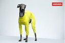 オールインワン バレエ：ライトスリム オリーブグリーンサイズ S/M/L/XL/XX イタリアングレーハウンド・ウィペット専用 海外直輸入品 イタグレ 犬 服