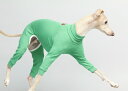 オールインワン バレエ：ライトスリム グリーンフラッシュ サイズ S/M/L/XL/XX イタリアングレーハウンド・ウィペット専用 海外直輸入品 イタグレ 犬 服