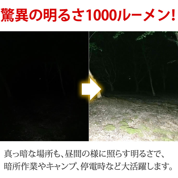 LED�饤�� ����饤�� LED �饤�� 1,000�롼���ε��� �ɺ� ������ �л� �������� LED �饤�� ����饤�� LED�饤��