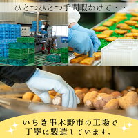 【メール便で2袋・送料無料】<月の焼干し芋(100g×1袋)★お試しセット>鹿児島県産紅はるか使用!無添加無着色のスイーツなほしいも!ポイント消化に!【末永商店】