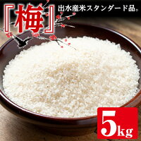 【送料無料】鹿児島県出水産ひのひかり5kg<梅>精米・玄米を選べる!【田上商店】