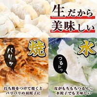 【送料無料】鹿児島うんまか豚生餃子(計144個・12個入り×12P・タレ付)にんにく・ニラ不使用!国産野菜100%のぎょうざ!焼き餃子だけでなく水餃子にも【肉の寺師】