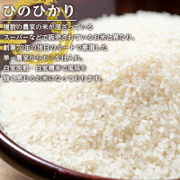 【送料無料】鹿児島県出水産ひのひかり5kg<梅>精米・玄米を選べる!【田上商店】