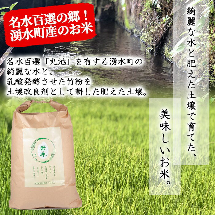 名水百選の郷！ヒノヒカリ玄米6kg（2kg×3袋）国産 九州産 鹿児島産 お米 おこめ 米 玄米 ご飯 ごはん【仮屋産業】