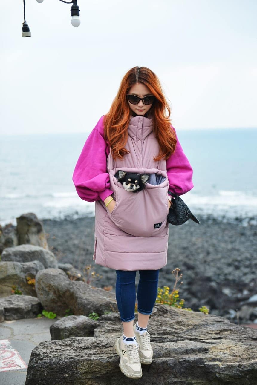 �ڴ�����������ۥ��󥬥롼�ѥǥ��� ��������֥륭��ꥢ ���󥰥ݥ��åȥ٥��� �ڥå� �� ǭ �ѡ����� �ݥ��å� ���η������ä�������꡼�����Ф��� ����ǥ��ԥ� �֥�å� S M