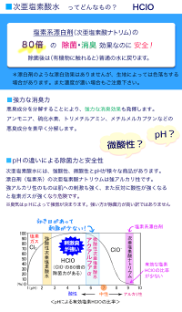 メイン2