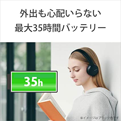 ソニー ワイヤレスヘッドホン WH-CH510 / bluetooth / AAC対応 / 最大35時間連続再生 2019年モデル / マイク付き /ブルー WH-CH510 L