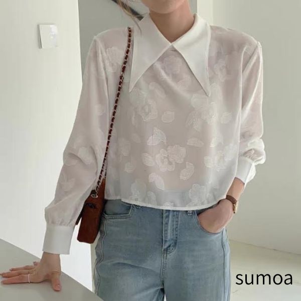 ビックカラークロップドブラウス　バックスリット　花柄　フラワーモチーフ　シャツ　クロップド　長袖　ショート丈　スリット　ドット　フェミニン　ガーリー　トップス　レディース　韓国　上品　大人　高見え　おしゃれ