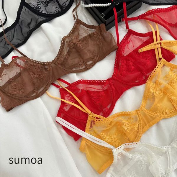 シアーブラショーツセット ノンパテッドブラ エンブロイダリー 高級レース ラグジュアリー エレガント ノンパテッド 最高級 繊細 魅惑 優雅 セクシー 透け 色気 大人 ノーパッド ショーツ セット ソング Tバック