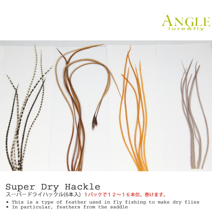 �����ѡ��ɥ饤�ϥå���(6����) ANGLE / ���󥰥�