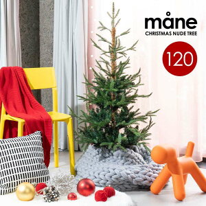 ポイント10倍」mane モーネ クリスマスツリー 120cm 高級 フィンランド ヌードツリー クリスマス ツリー mane モーネ オーナメントセット なし 本物のモミの木に近いヌードツリー
