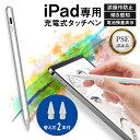 【替芯付き】 iPad専用 高感度タッチペン スタライスペン 傾き感知 極細 1.0mm 磁気吸着 Type-C急速充電 パームリジェクション 自動電源OFF ペン先交換可 iPad A16 第11 第10 第9 8 7 6世代 iPad Air5 4 mini A17 Pro mini6 iPad Pro 11 12.9 13 インチ PSE認証 誤操作防止