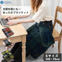 \お得なクーポン配布中/ひざ掛け 100cm×70cm ブランケット 北欧 膝掛け チェック S 70×100 薄手 小さめ おしゃれ フリース あったか 冷え...