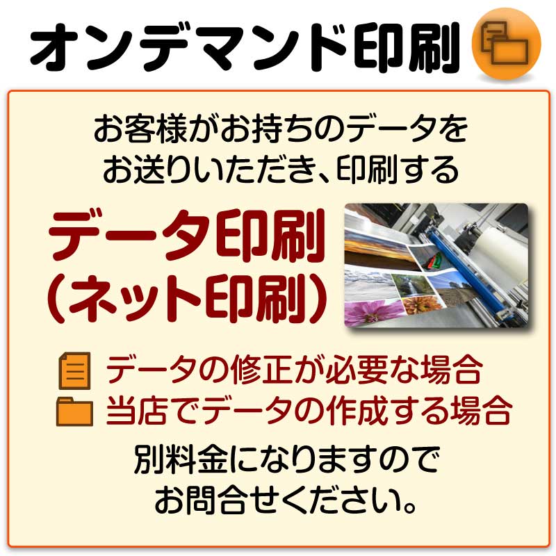 100枚からデータ印刷【名刺 印刷 名刺印刷】100枚 データ印刷 データ出力 オンデマンド印刷 ネット印刷 両面 カラー モノクロ 高品質 ハイクオリティ きれい キレイ 送料無料 2