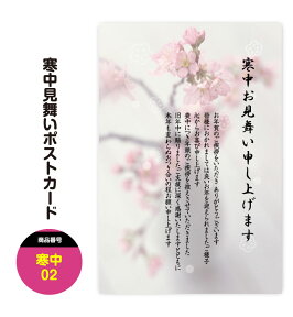 寒中見舞い 寒中お見舞い ポストカード はがき ハガキ 葉書【02】寒中見舞い 私製はがき