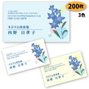 【送料無料】【名刺 作成】 花柄の名刺-13 200枚【デザイン 制作】【送料無料】 ショップカード ポイントカード スタンプカード