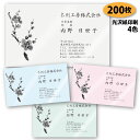 【名刺 作成 名刺 印刷】梅の名刺-4 200枚【デザイン 制作】【送料無料】 梅柄の名刺 新元号 令和 れいわ 光沢紙に印刷 ショップカード ポイントカード ...