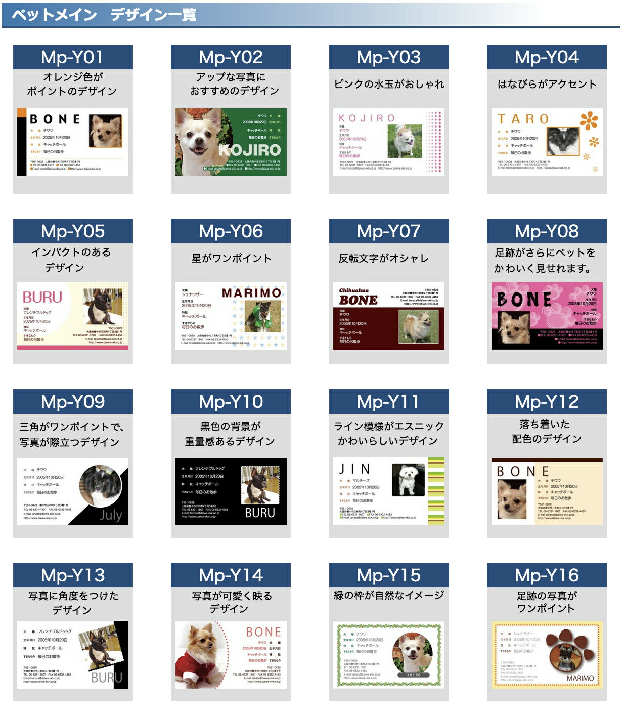 �̿����� �ڥå� ̾�� ���� ��100���