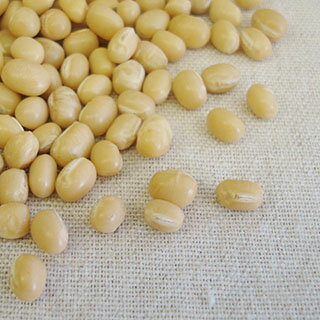 『北海道産 白小豆』