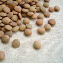 レンズ豆 未選別 5kg アメリカ産 送料無料 業務用パック