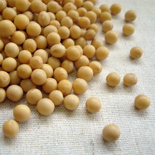 スズマル 200g 2024年産 令和6年産 北海道産 小粒大豆 スズマル 200g 2024年産 令和6年産 北海道産 小粒大豆