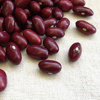 【送料無料】【メール便】平成25年 岩手県産 金時豆【500g】[M便 1/2]