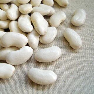【送料無料】【メール便】平成29年 北海道産 大福豆（十六寸・白いんげん）【1kg】