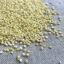 緑米 1kg 豆力 国産 国内産 みどり米 みどりこめ 雑穀 国内加工 緑まい 古代米 穀物 雑穀米 雑穀ごはん 緑こめ 緑ごめ