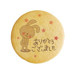 https://thumbnail.image.rakuten.co.jp/@0_gold/sweets-focetta/img_goods/ms/cc-202.jpg