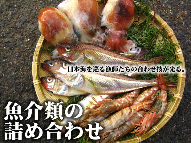 季節ごとの魚介類が大集合！ 当店を初めてご利用の方はまずはこれからご注文ください!!【初回限...