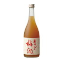 梅乃宿 あらごし梅酒 720ML 12本 奈良県 梅乃宿酒造 リキュール ケース販売 母の日 プレゼント