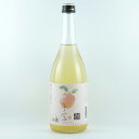 子宝 山形りんご 720ml 12本 山形県 楯の川酒造 リキュール ケース販売 母の日 プレゼント