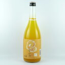 子宝 マンゴー 720ml 12本 山形県 楯の川酒造 リキュール ケース販売 父の日 プレゼント