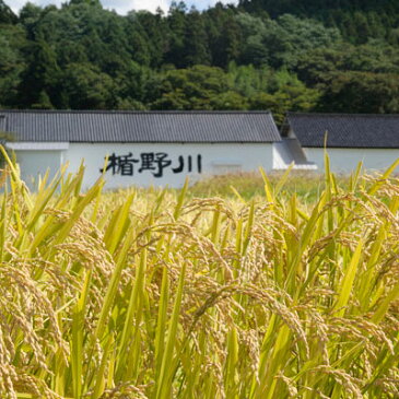 お酒 お年賀 ギフト プレゼント 楯野川 たてのかわ 純米大吟醸 清流 720ml 山形県 楯の川酒造 日本酒 コンビニ受取対応商品 はこぽす対応商品 あす楽