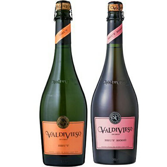 バルディビエソ ブリュット&ブリュット ロゼ 白ロゼ ワインセット 750ml 2本 チリ 白ワイン ロゼワイン 送料無料 楽ギフ_のし 結婚祝い 内祝 お歳暮...