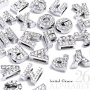 ストラップパーツ ビーズ アクセサリー道具 材料 手芸 ハンドクラフト 楽器 コレクション スライド式 イニシャルチャーム 名前が見つかる 約8mm隙間 お好み...