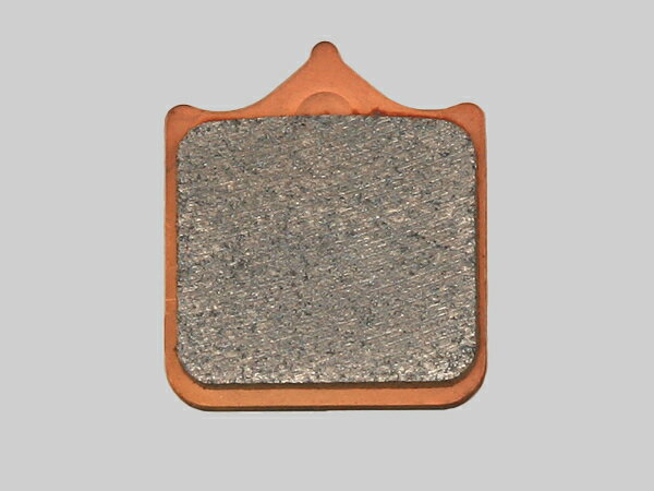 DAYTONA (ǥȥ) ֥졼ѥå 111 ǥѥåɦ() (F)999S(02) 97176