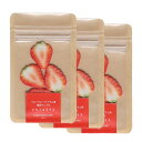 ハンドメイド用 いちご スライス 4枚入×3袋セット | ストロベリー カット 食品サンプル サンプル品 レプリカ 見本 見本品 ハーバリウム 材料 部材 花材 フルーツ 果物 ドライフルーツ 資材 ドライフラワー プリザーブドフラワー ハンドメイド 店舗 装飾 ディスプレイ 撮影