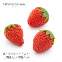 taberemasen 食べられない いちご ミニ(3個入り)×3袋セット