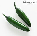 食べられない ハラペーニョ 【2本】| 唐辛子 トウガラシ とうがらし 青唐辛子 辛い 食品サンプル サンプル品 レプリカ 見本 見本品 フェイク 材料 部材 ...